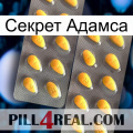 Секрет Адамса cialis2